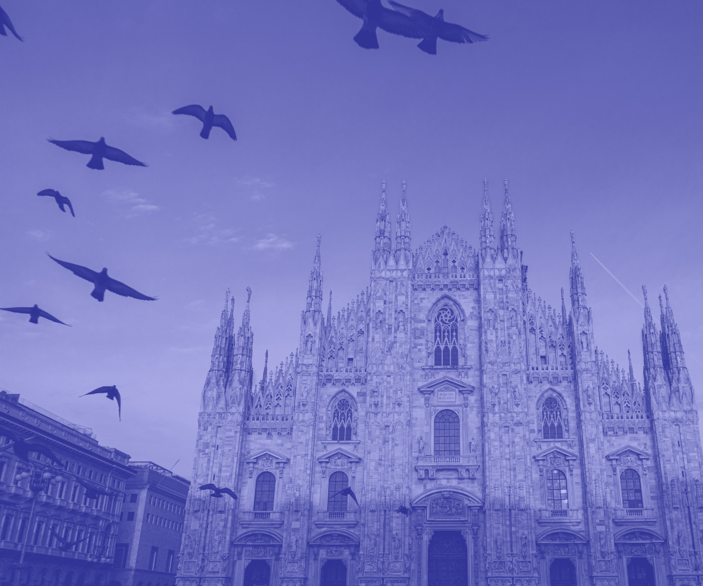 A flock of pigeons fly overhead, with a beautiful Gothic-style Cathedral in the background