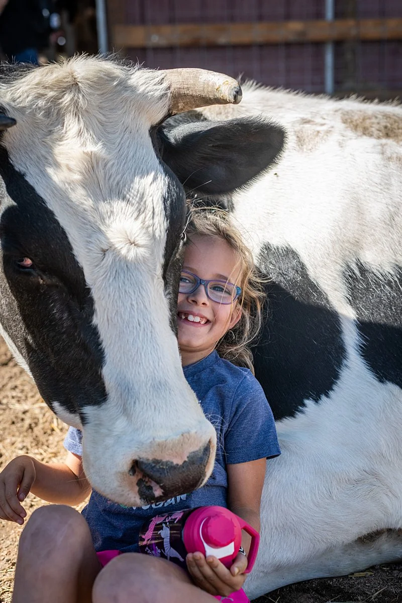 Girl smiles next to rescued cow