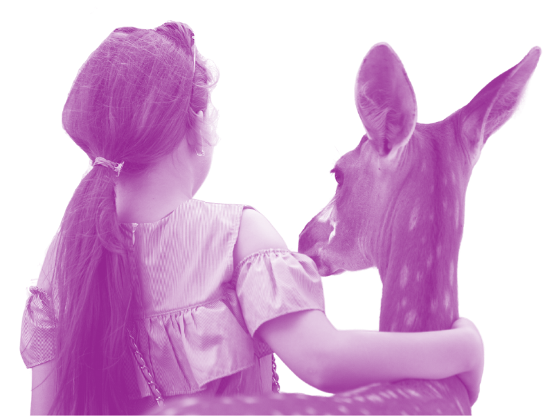 Young girl with arm around deer