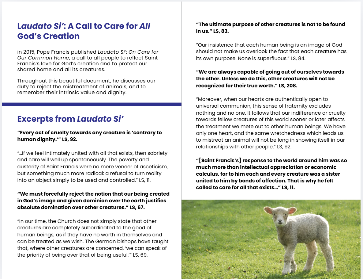 Preview of Laudato Si Inside Cover