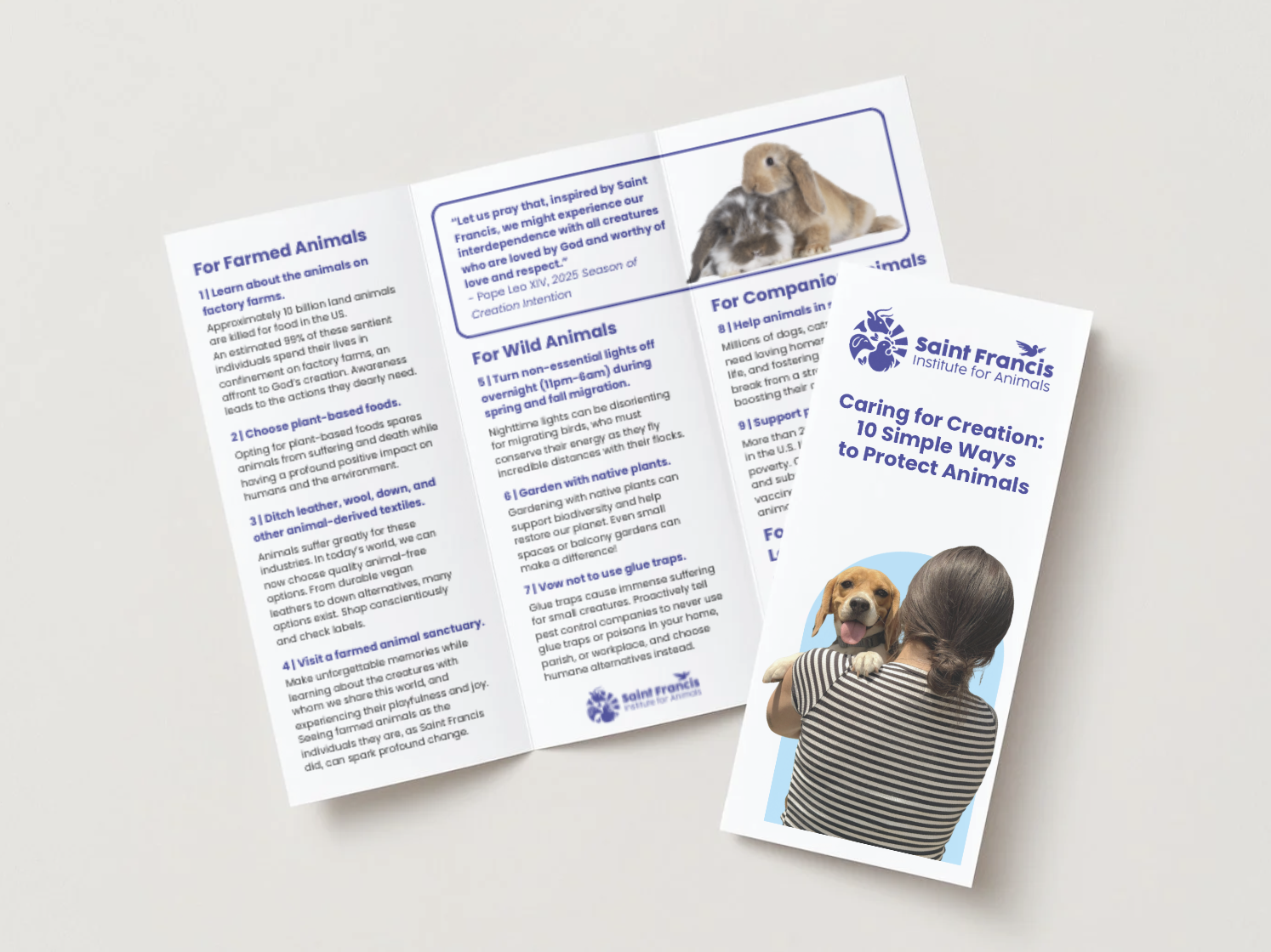 Printable Brochure: 10 Simple Ways to Protect Animals