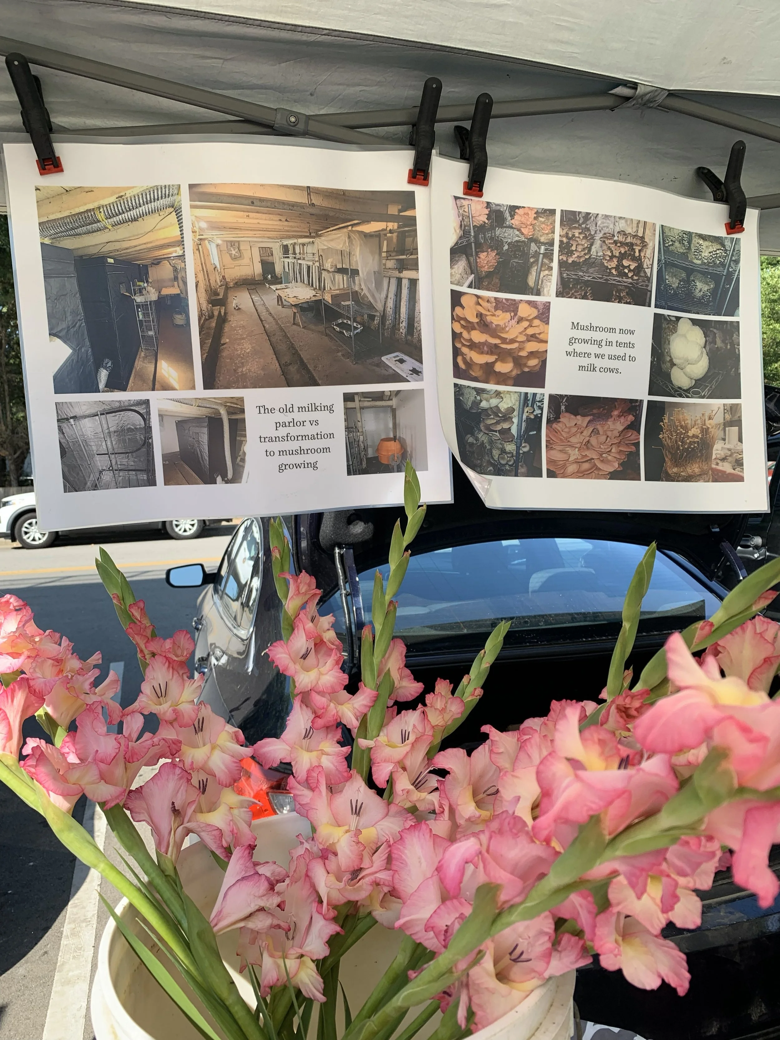 Hamilton Family's Before and After Photos at Farm