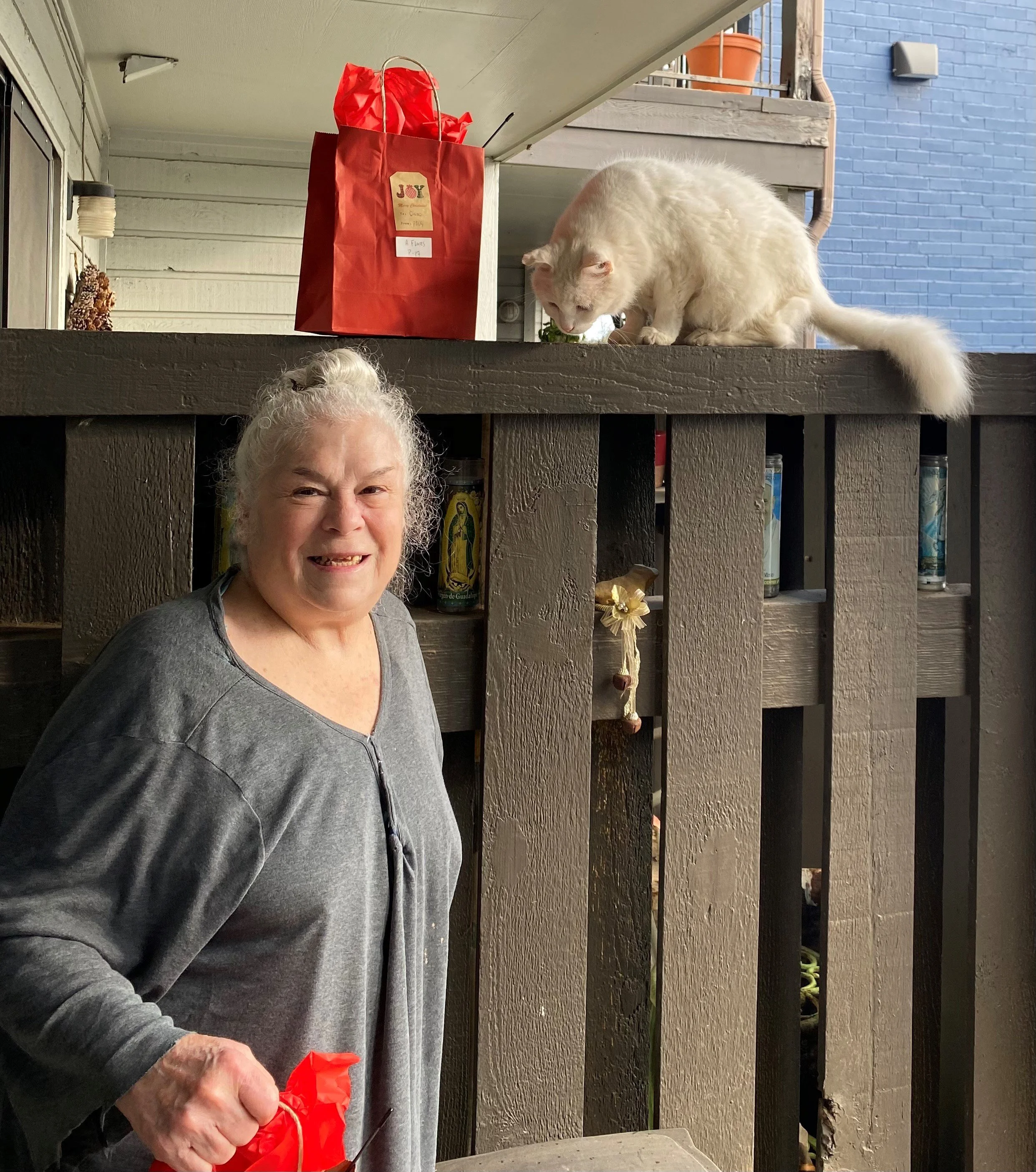Woman stands with holiday gift bag as white cat looks on curiously