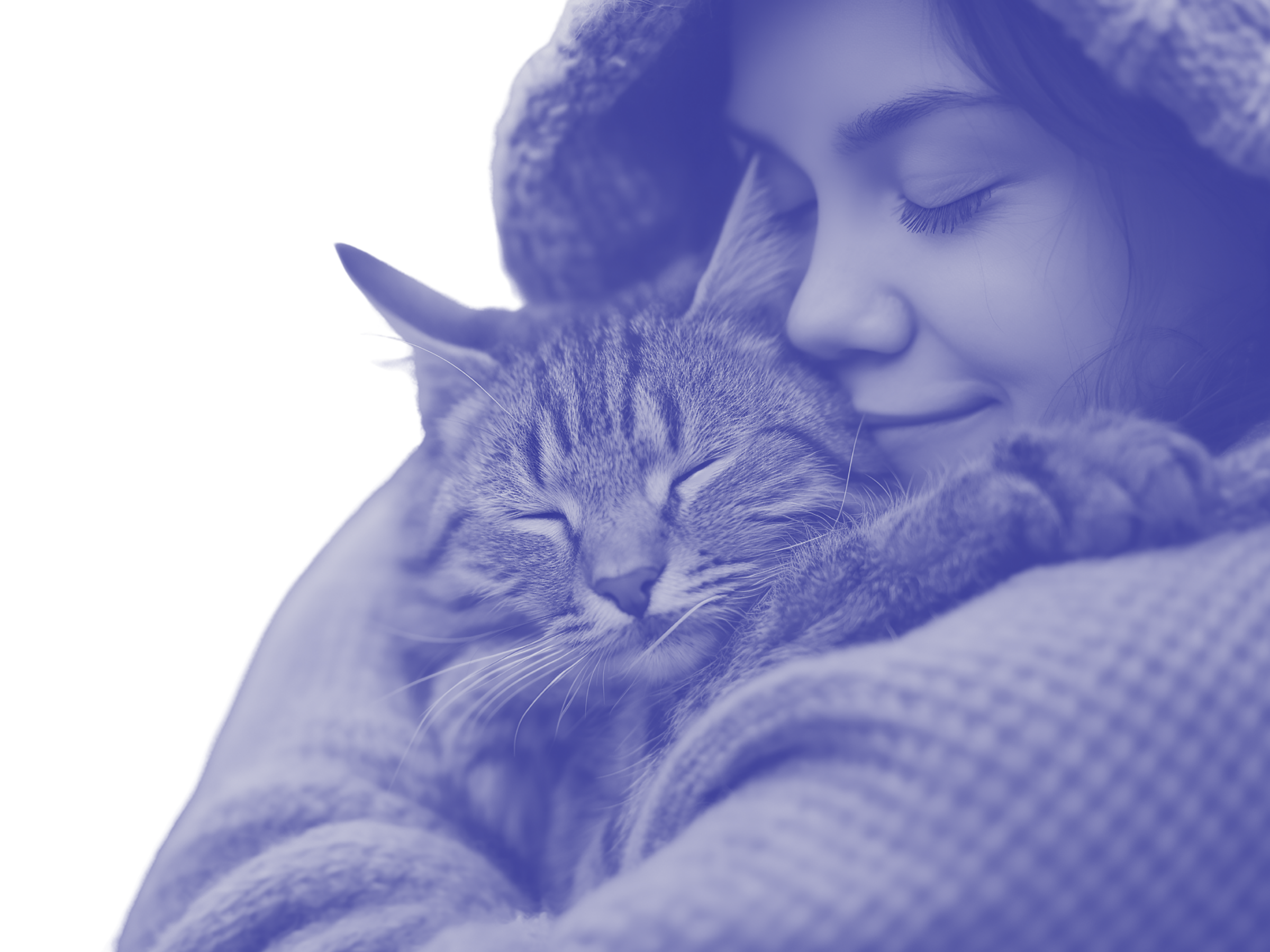 Adult cuddling a sleeping tabby cat