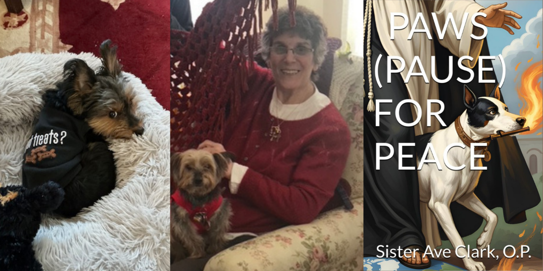 Sister Ave with yorkie, photo of yorkie, and cover of the book Paws for Peace with image of a dog carrying a torch