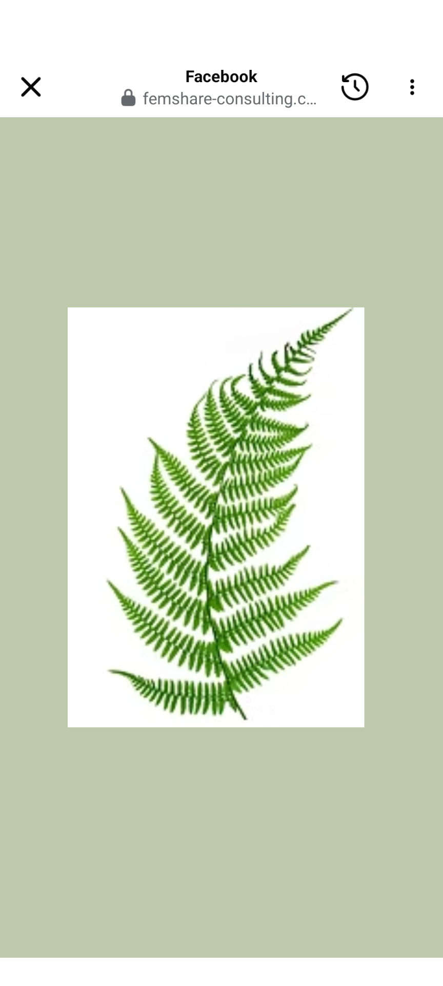 Outdoor Wellness Adventures