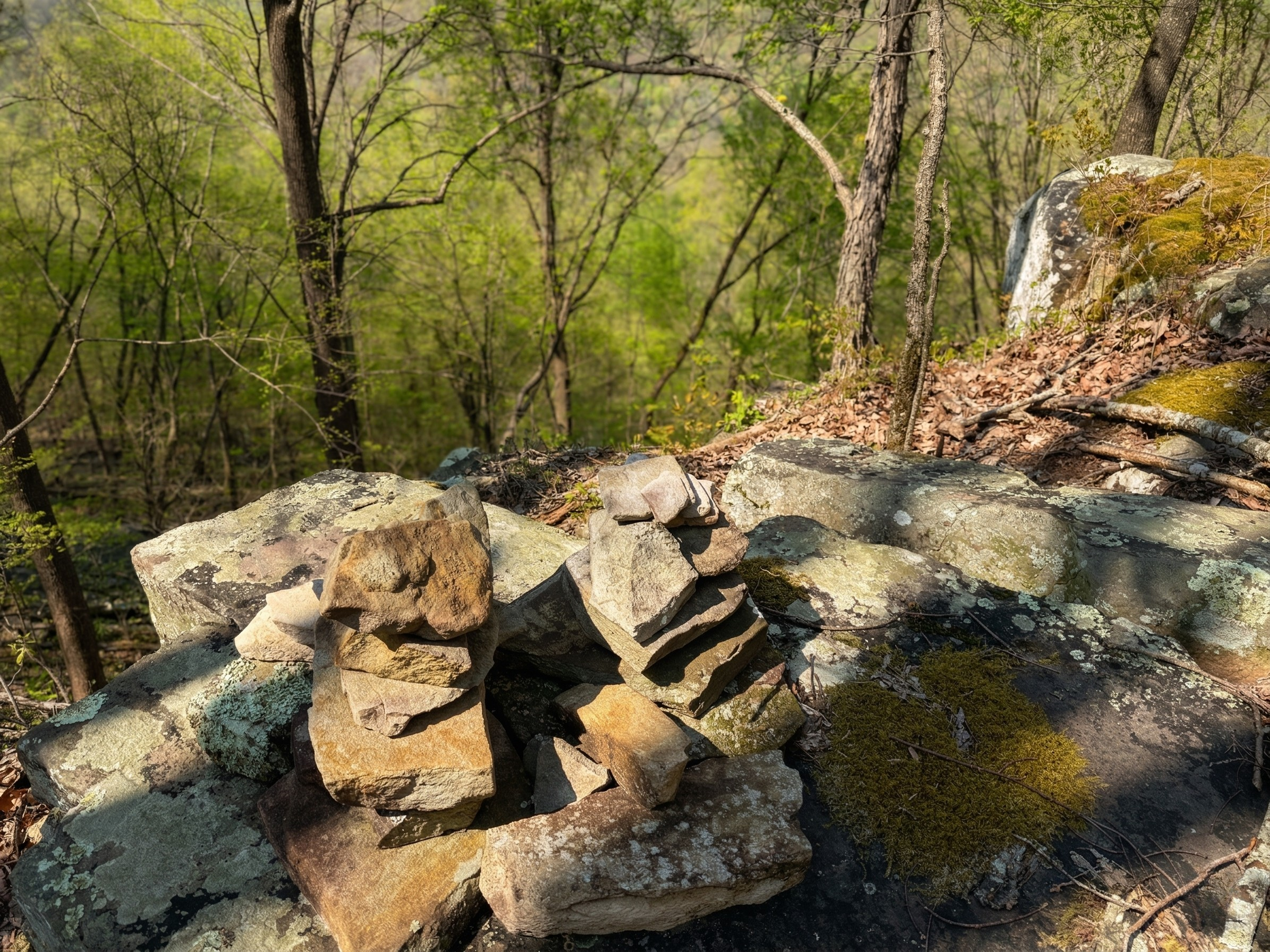 Rock cairn on a forest floor with trees and moss in the background.