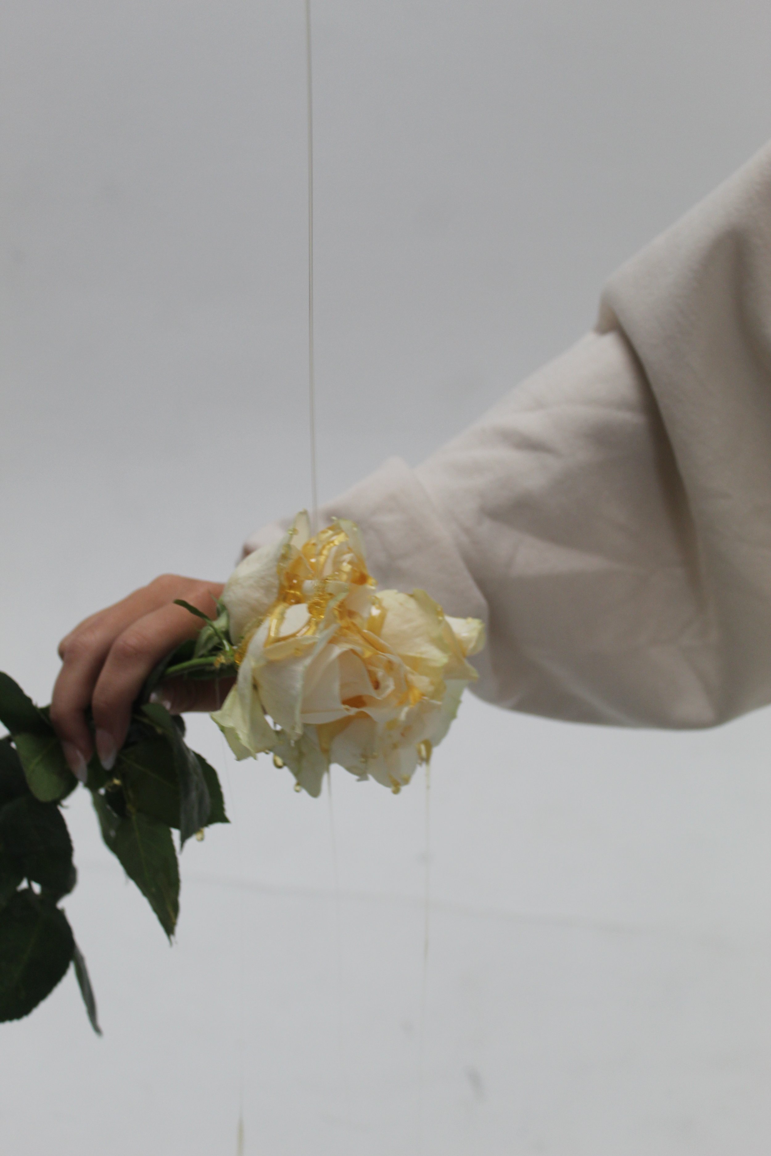 A person wearing a white jacket is holding a bouquet of withered white roses with some caramel drizzle on top against a plain white background.