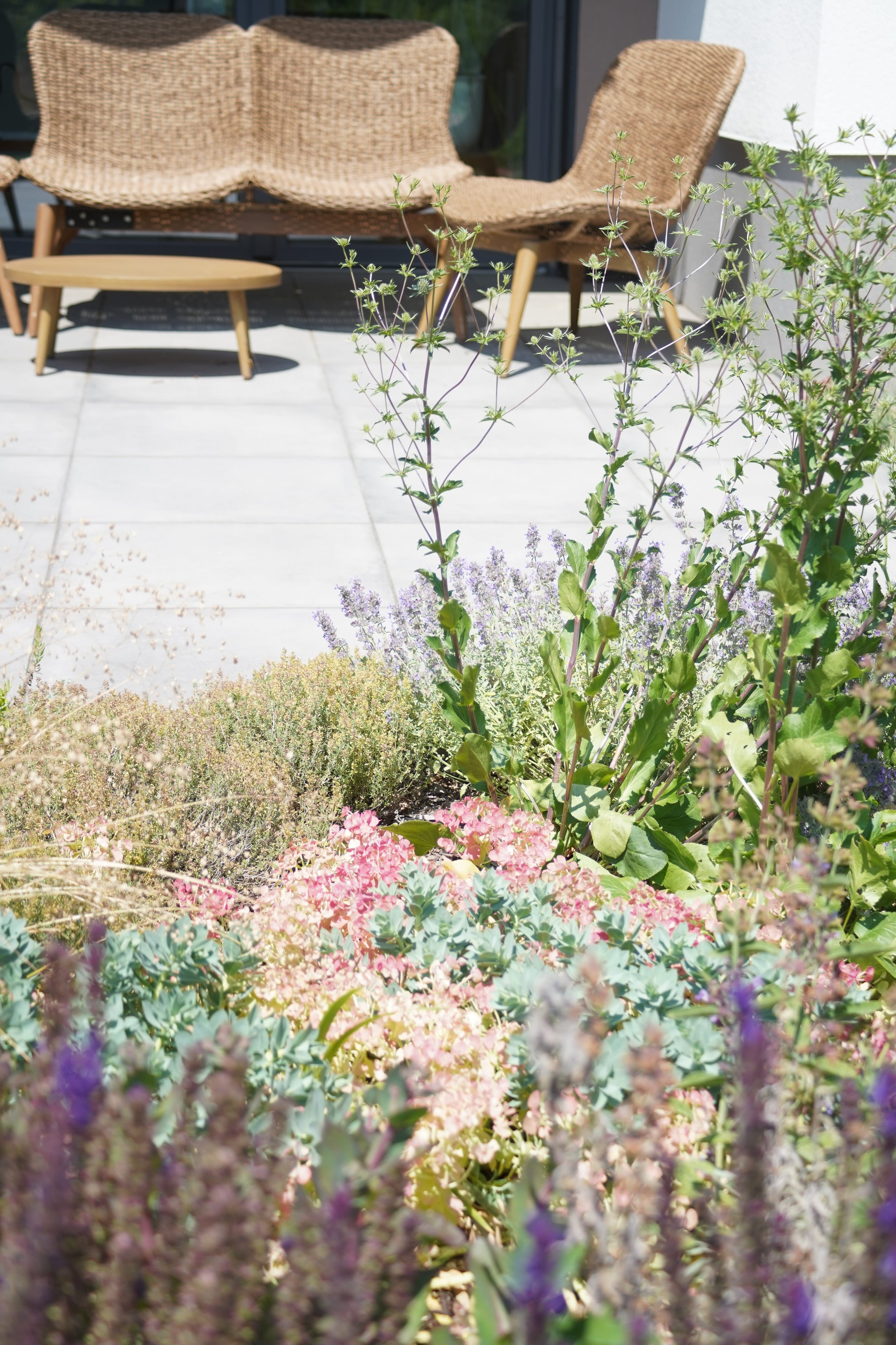 Naturnahe Pflanzung an der Terasse