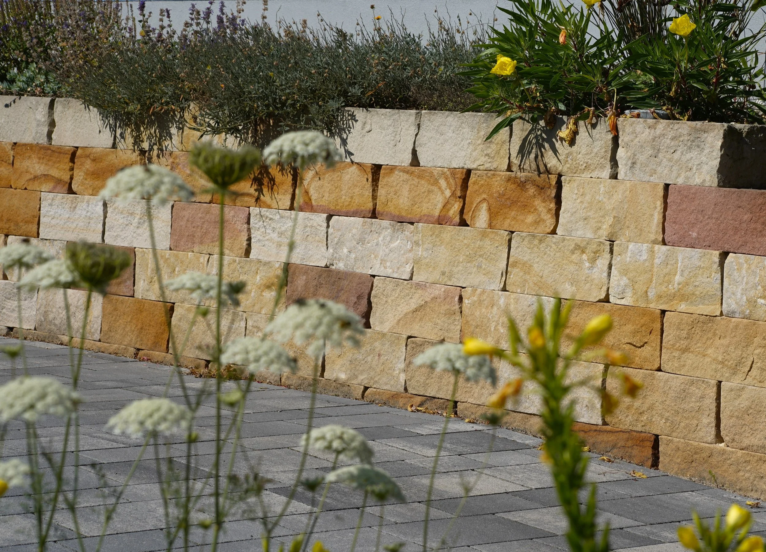 Blick auf eine Trockenmauer aus Sandstein mit Pflanzen und Blumen im Vordergrund.