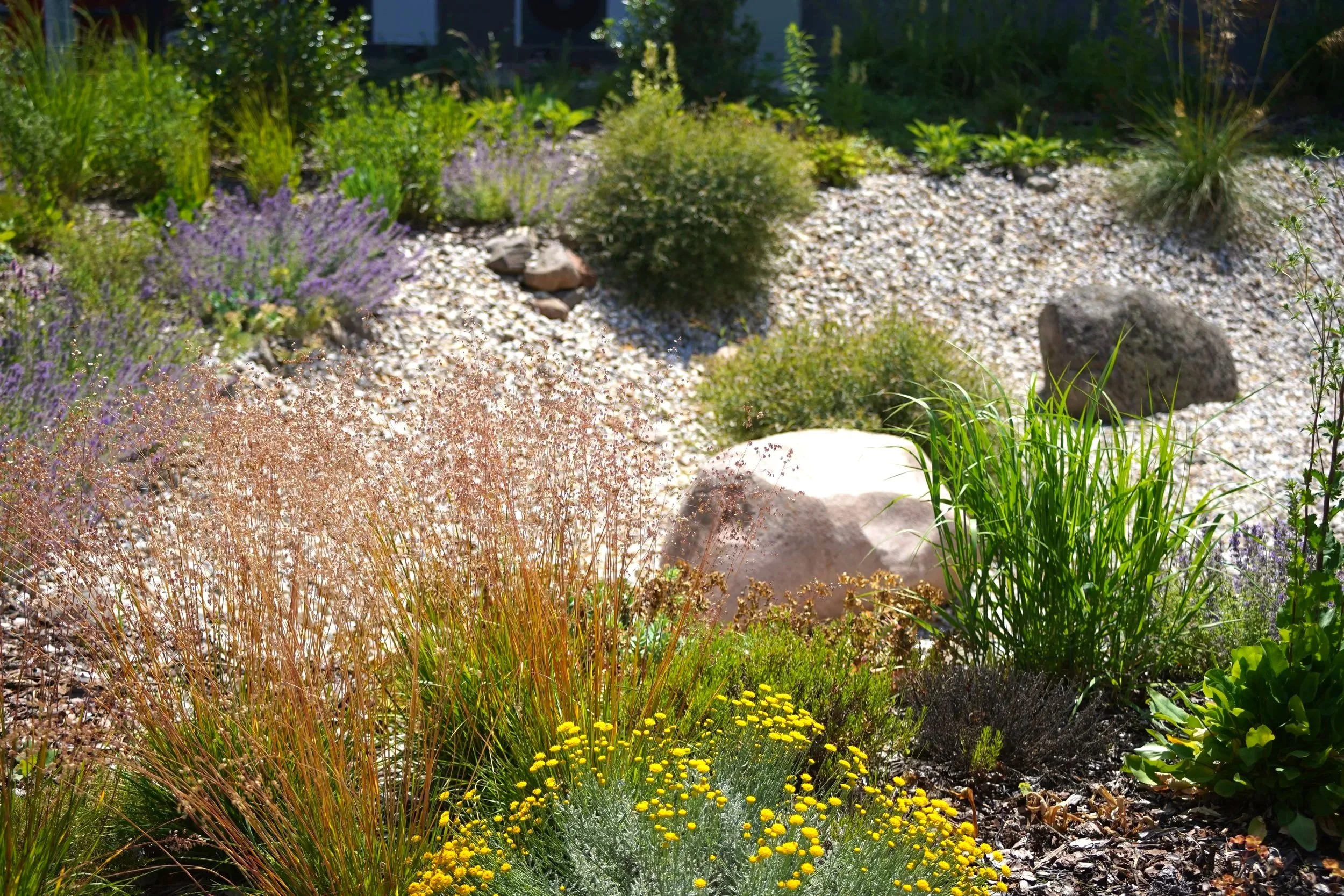 Regenwasserversickerung - ansprechend naturnah gestaltet.