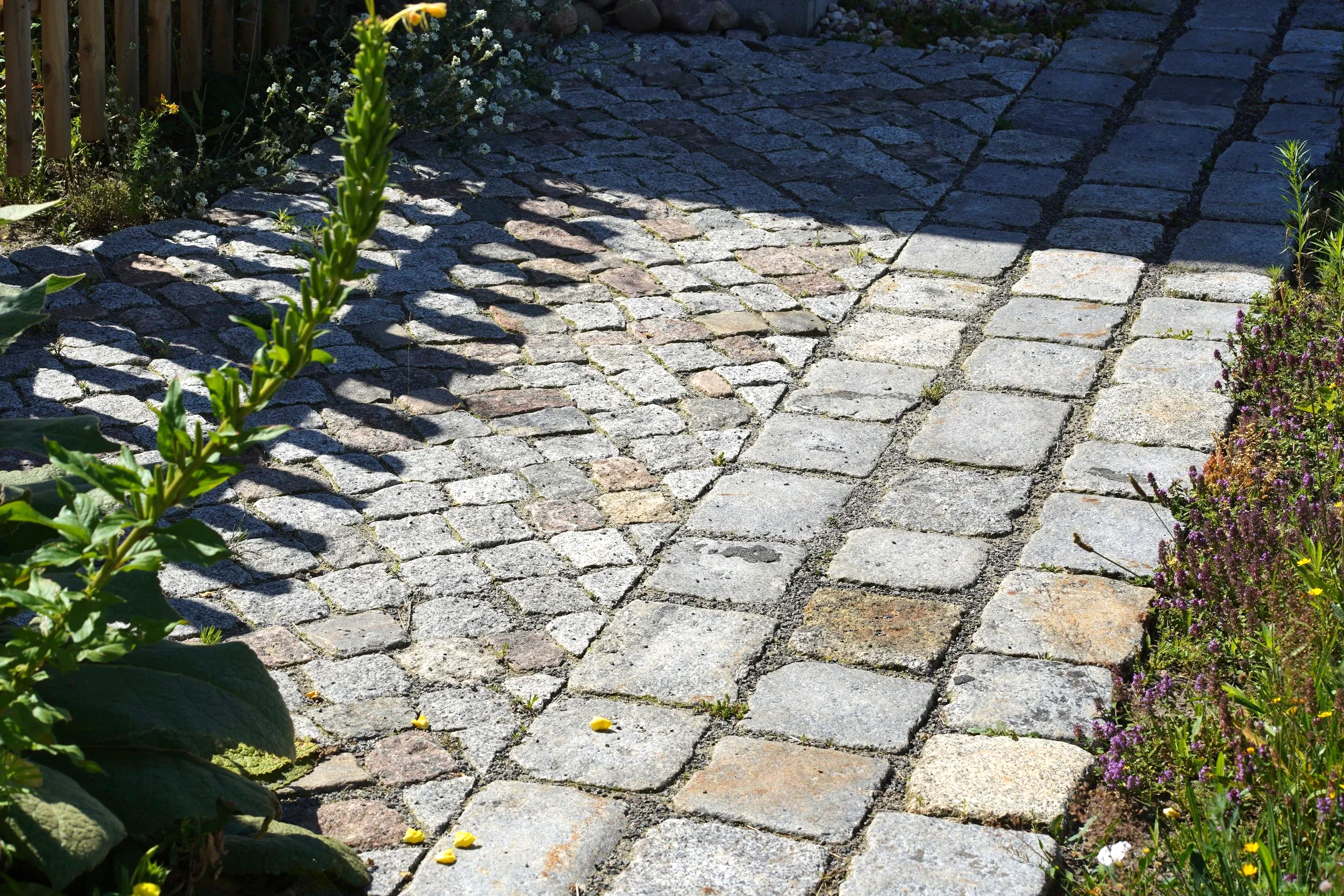 Mit verschiedenen Natursteinen gepflasterter Weg mit begrünten Fugen und Blumen an den Seiten, bei sonnigem Wetter.