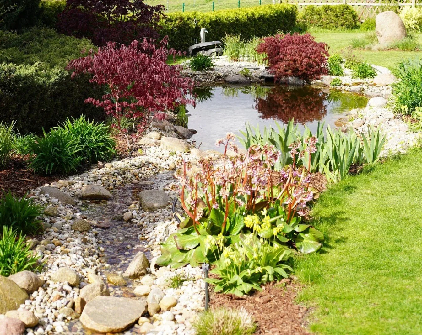 Teich mit sich spiegelnden Gehölzen