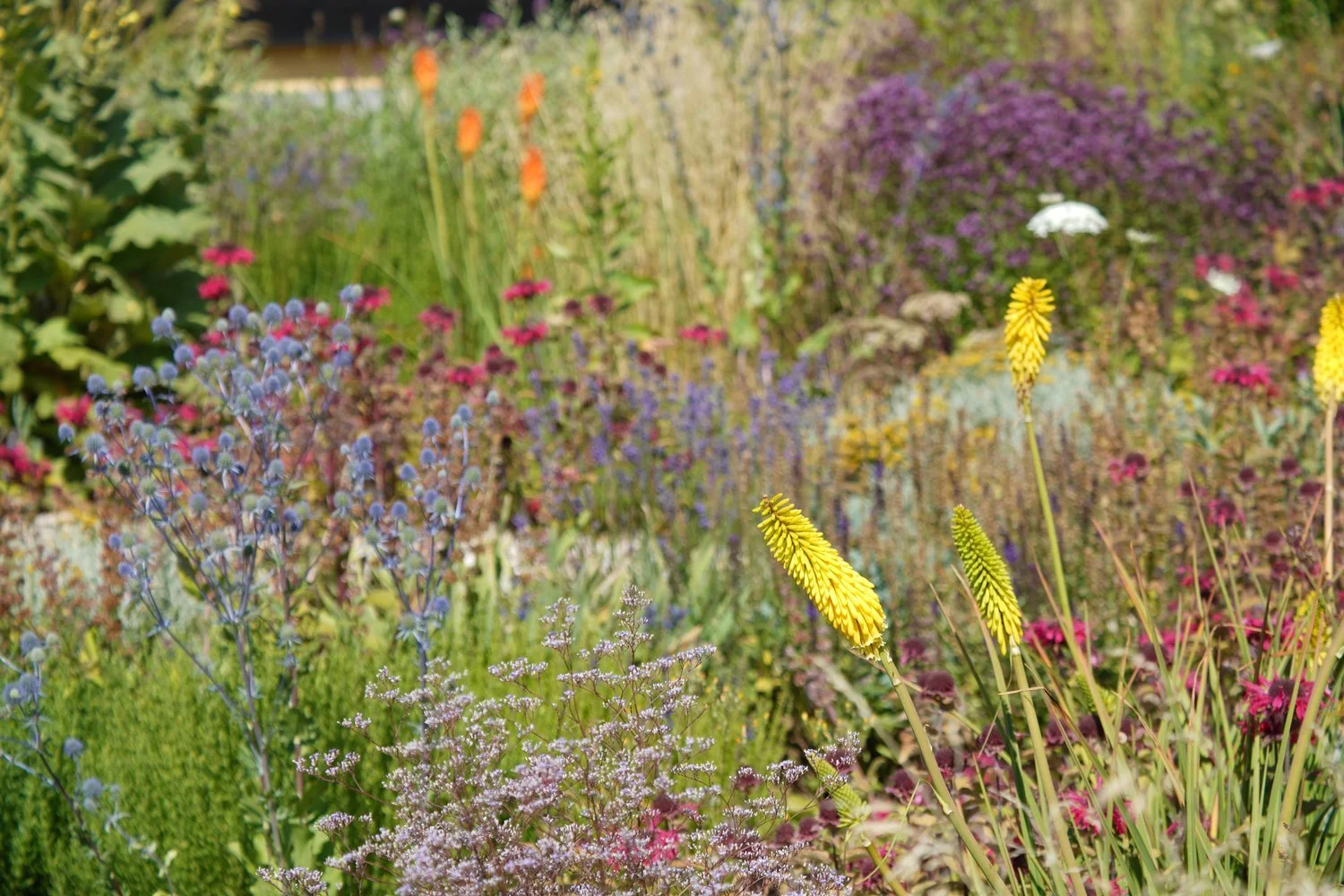 Üppige naturnahe Bepflanzung