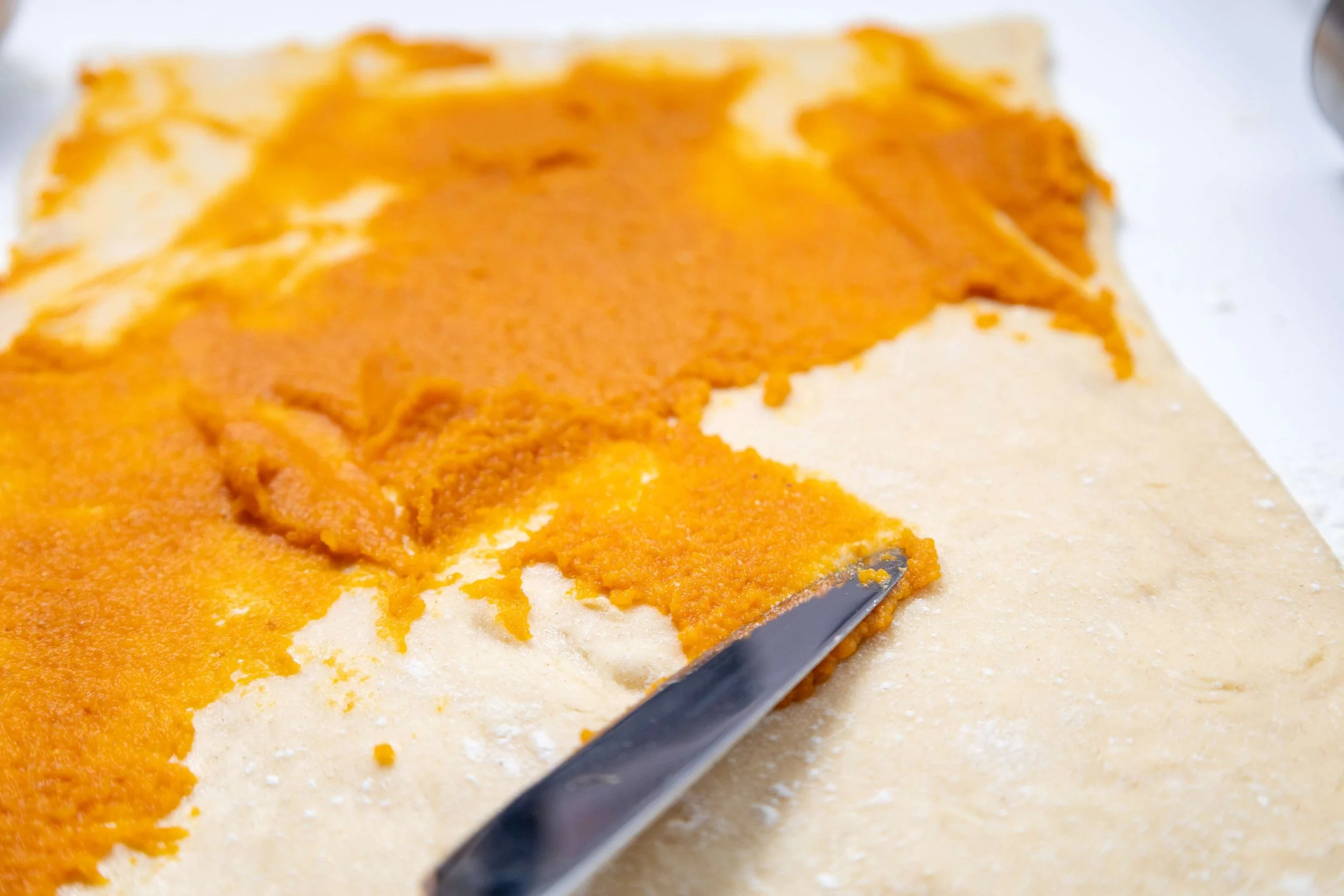 In-process 12 - Cinnamon Pumpkin Rolls.jpg
