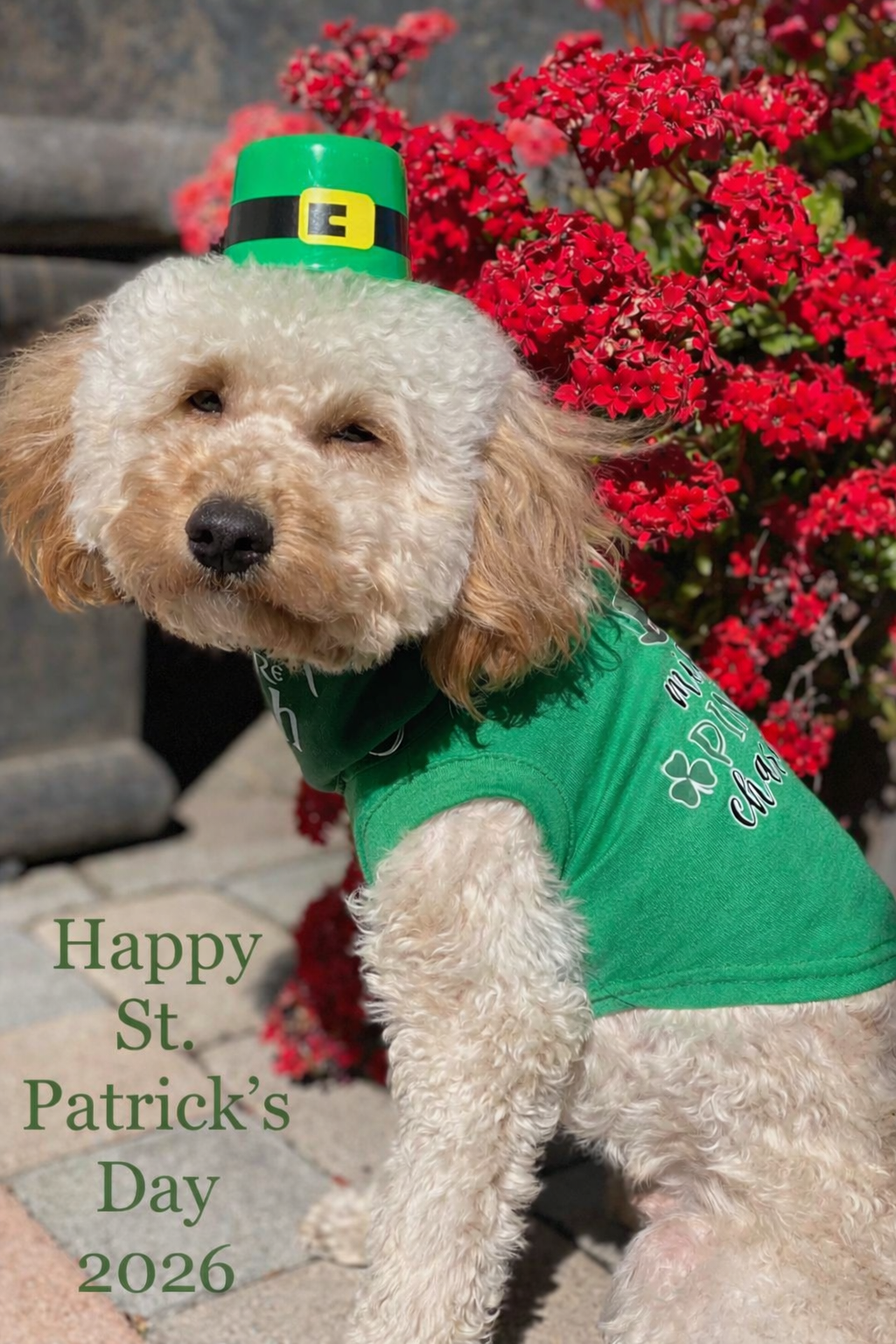 Happy St. Patrick’s Day