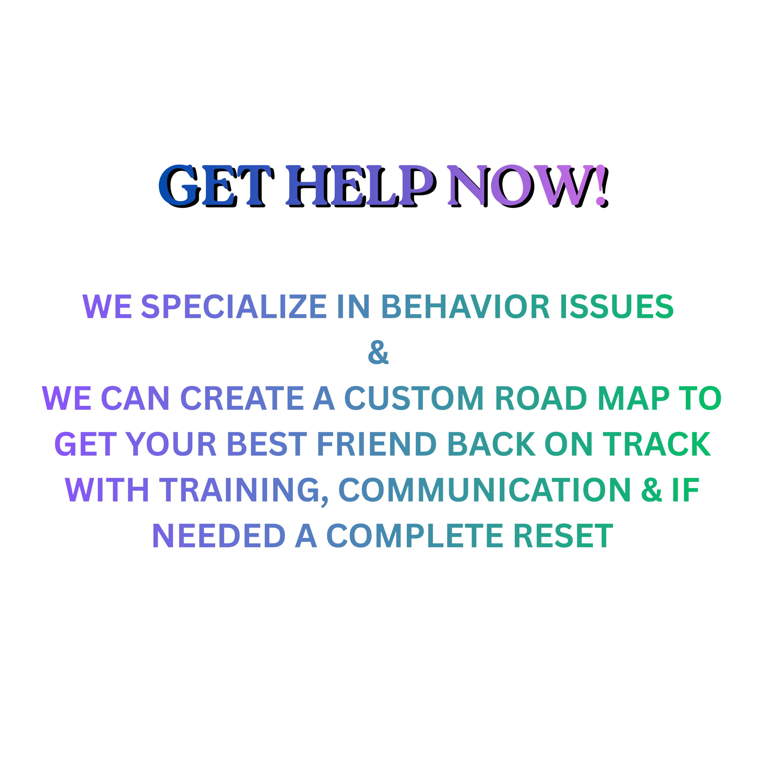 Colorful text on black background advertising behavior issues help, custom road map, training, communication, and reset services.