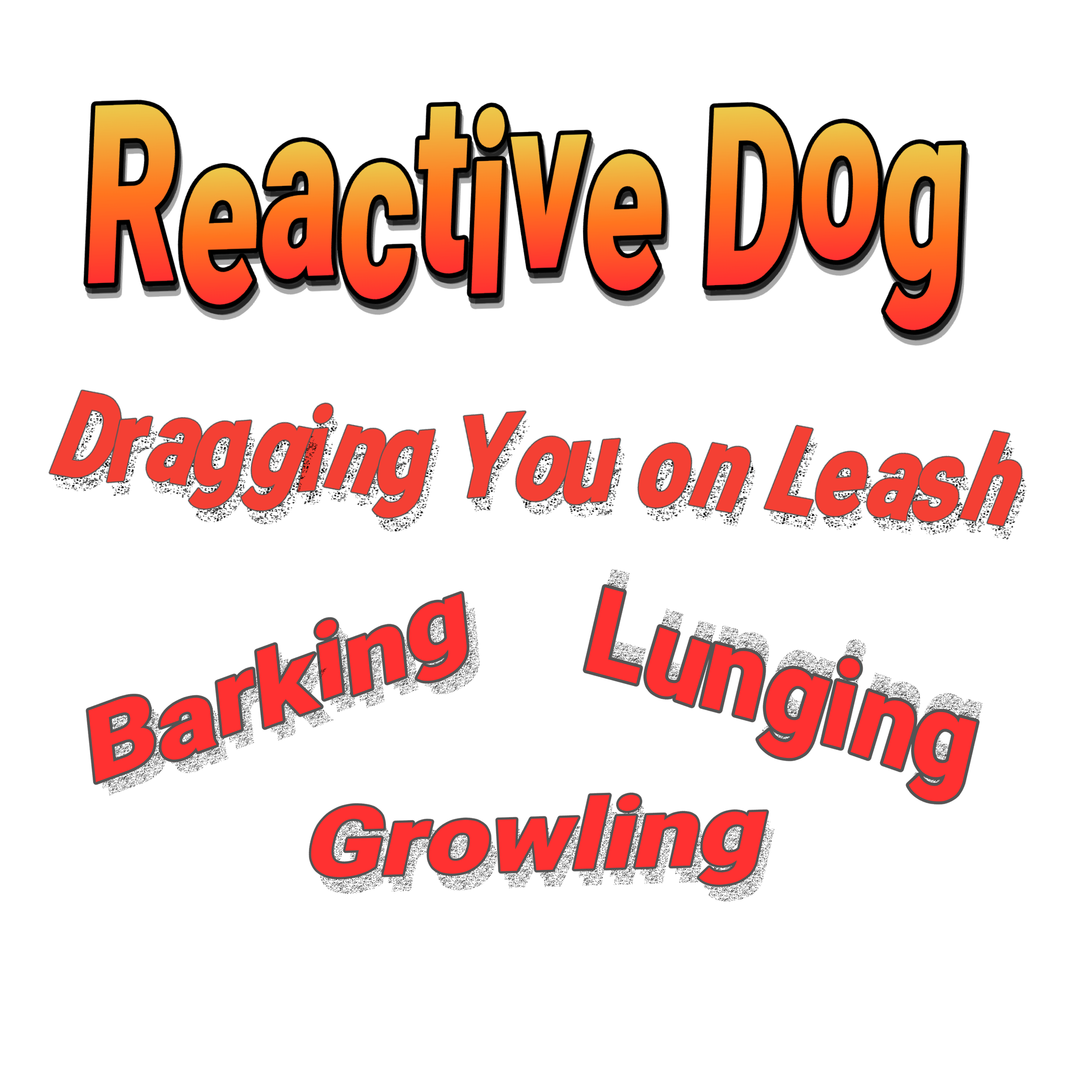 Text graphic with a black background and large, colorful, bold text reading 'Reactive Dog', with smaller phrases 'Dragging You on Leash', 'Barking', 'Lunging', and 'Growling' listed below in red font.