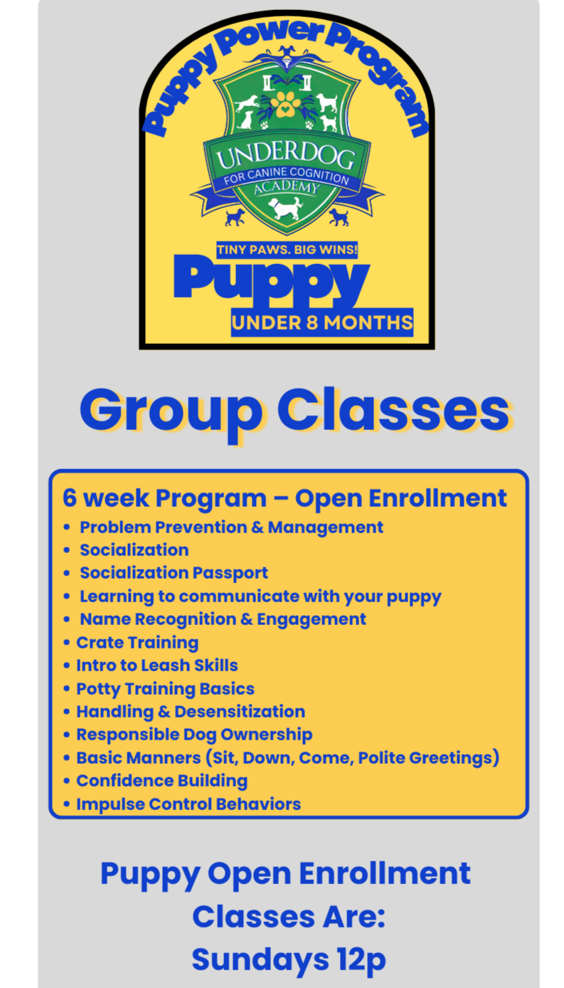 A flyer for puppy training classes at Underdog Canine Cognition Academy. The flyer features a yellow and green shield logo with paw prints and dogs, with the text "Puppy Power Program" and details about a 6-week open enrollment program for puppies under 8 months, including group classes on socialization, leash skills, potty training, and responsible ownership, held on Sundays at 12 pm.