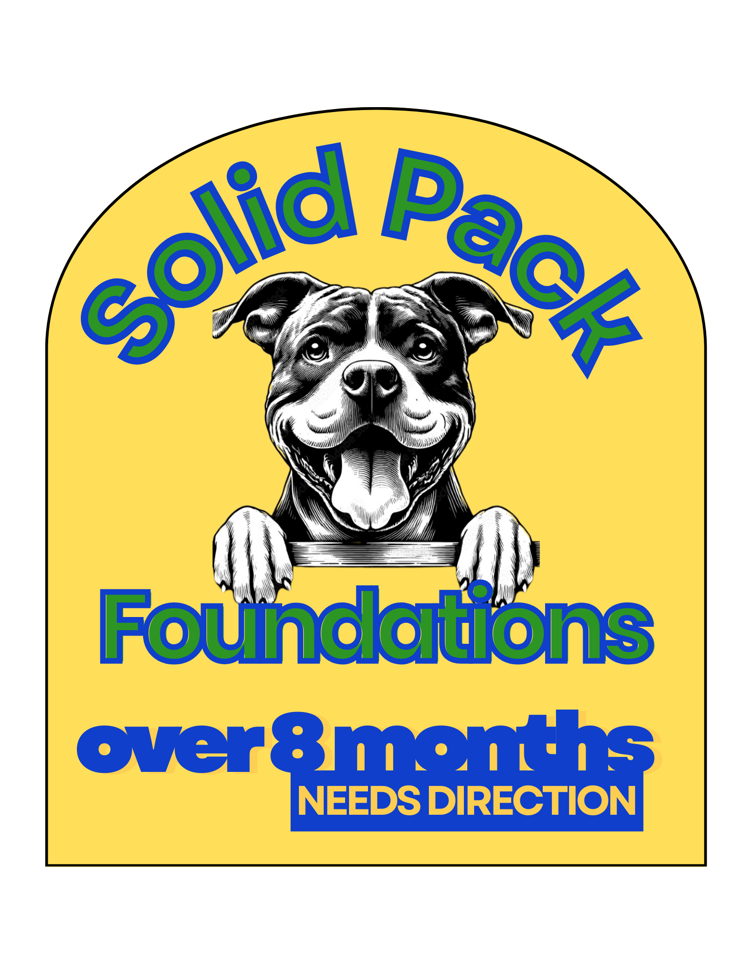 Yellow sign with a cartoon dog and bold blue and green text that reads 'Solid Pack Foundations over 8 months NEEDS DIRECTION'.