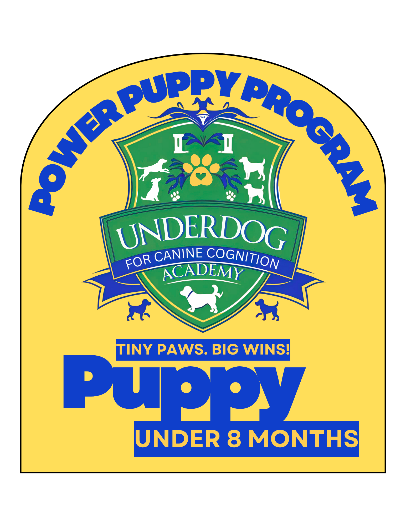 So You Got a New Puppy… Now What?