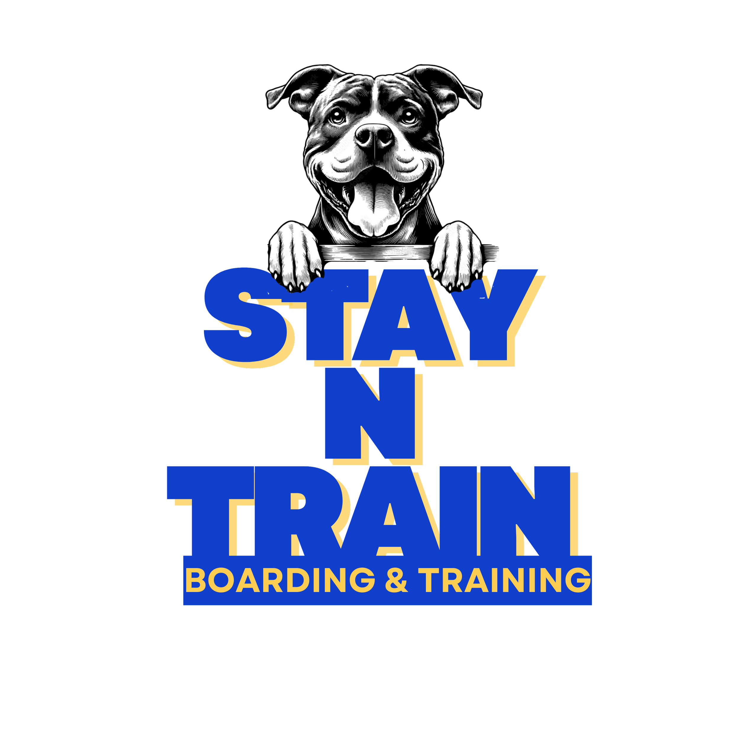 Illustration of a happy dog peeking over a sign that says 'STAY N TRAIN' in bold blue and yellow letters, with smaller text 'BOARDING & TRAINING' below.