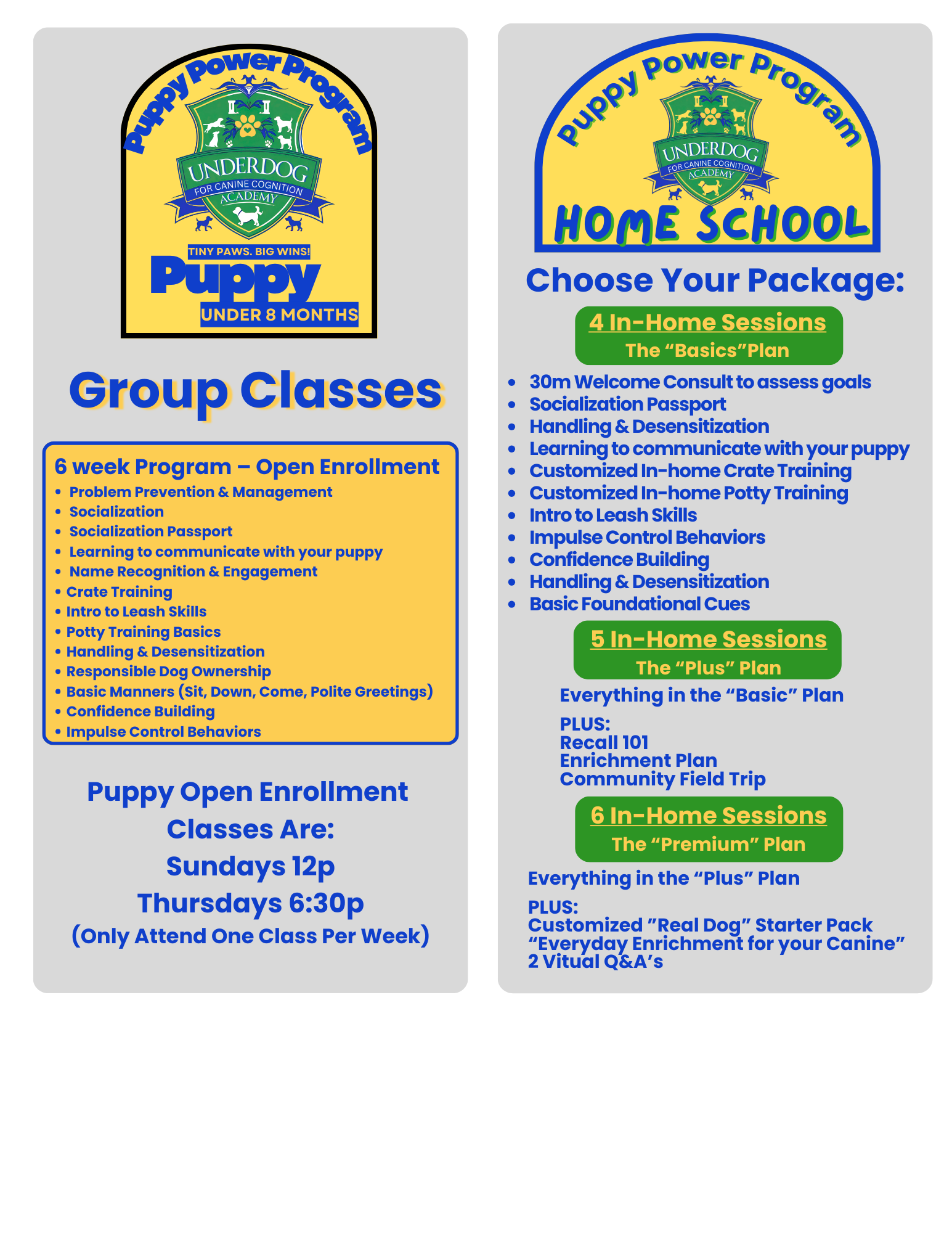 Flyer for UnderDog Canine Cognition Academy's Puppy Power Program, featuring group classes and home schooling options with different session plans, schedules, and topics.