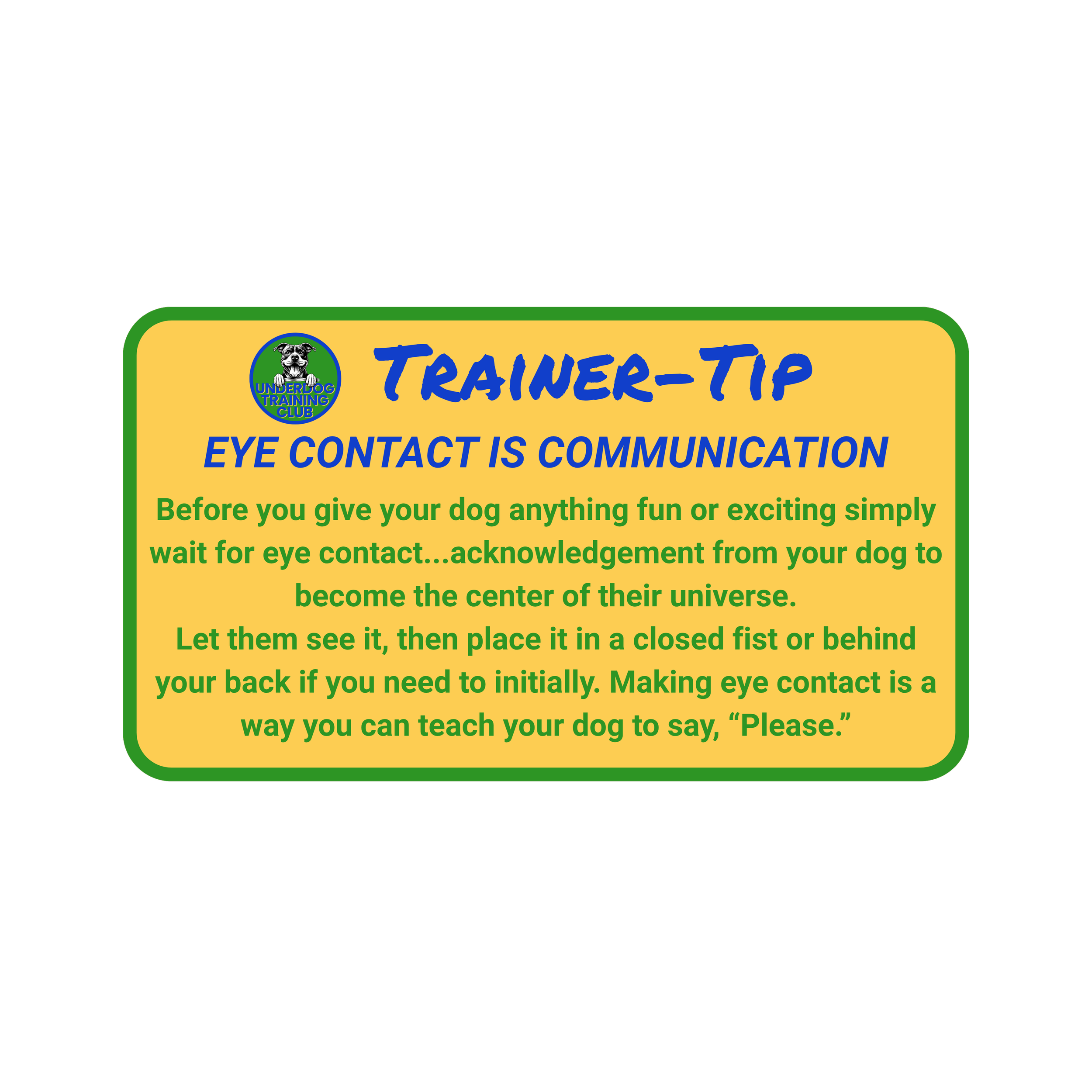 Trainer tip card from the UnderDog Training Club emphasizing the importance of eye contact in dog communication, with instructions on how to teach dogs to focus and acknowledge humans.