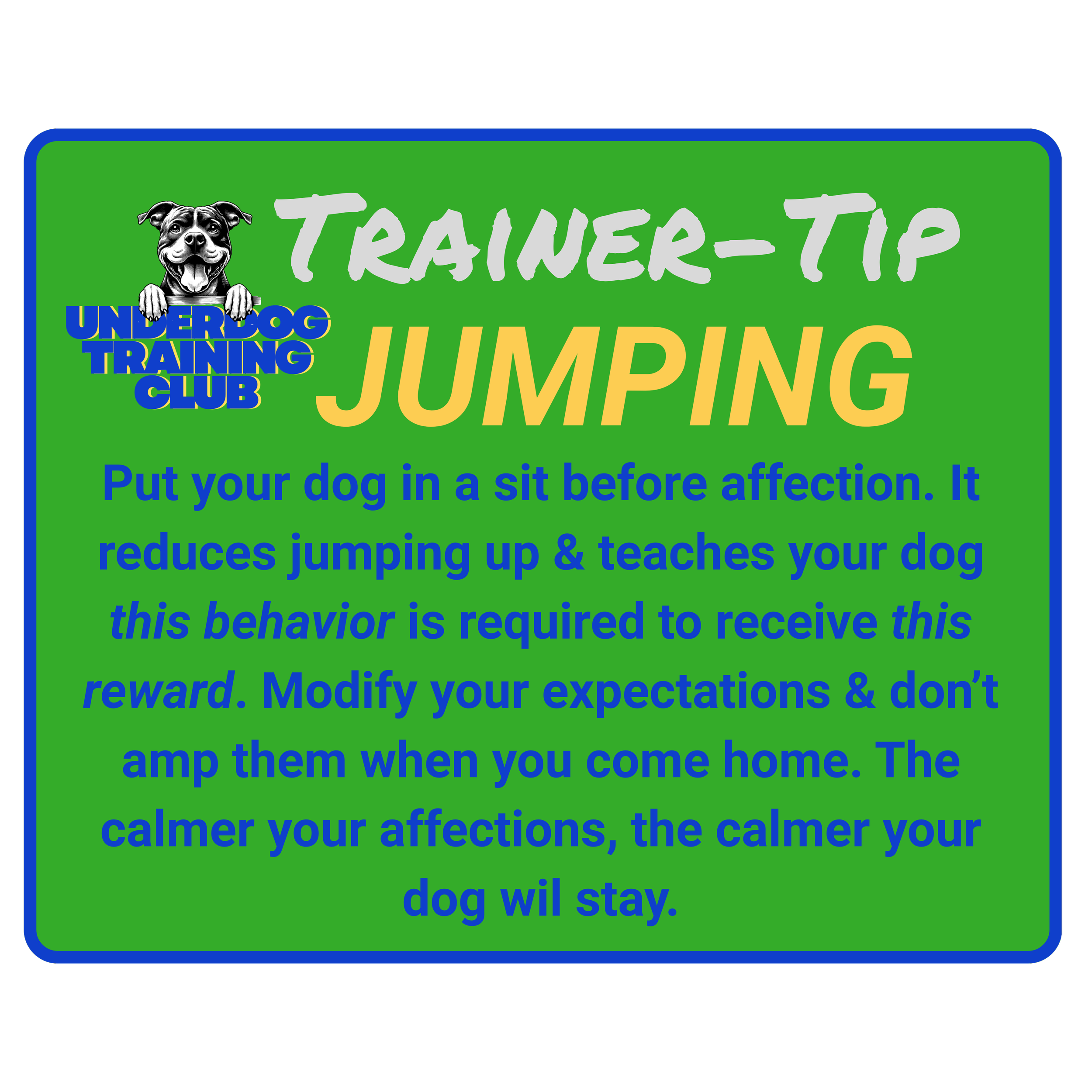 Dog training tip sign from Underground Dog Training Club, featuring a black and white dog image. The sign provides advice on dog jumping behavior, emphasizing calming techniques and positive reinforcement.