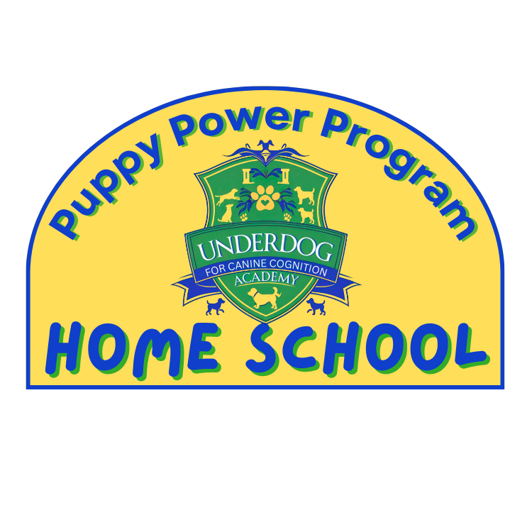Puppy In-Home Basics (4pk Sessions)