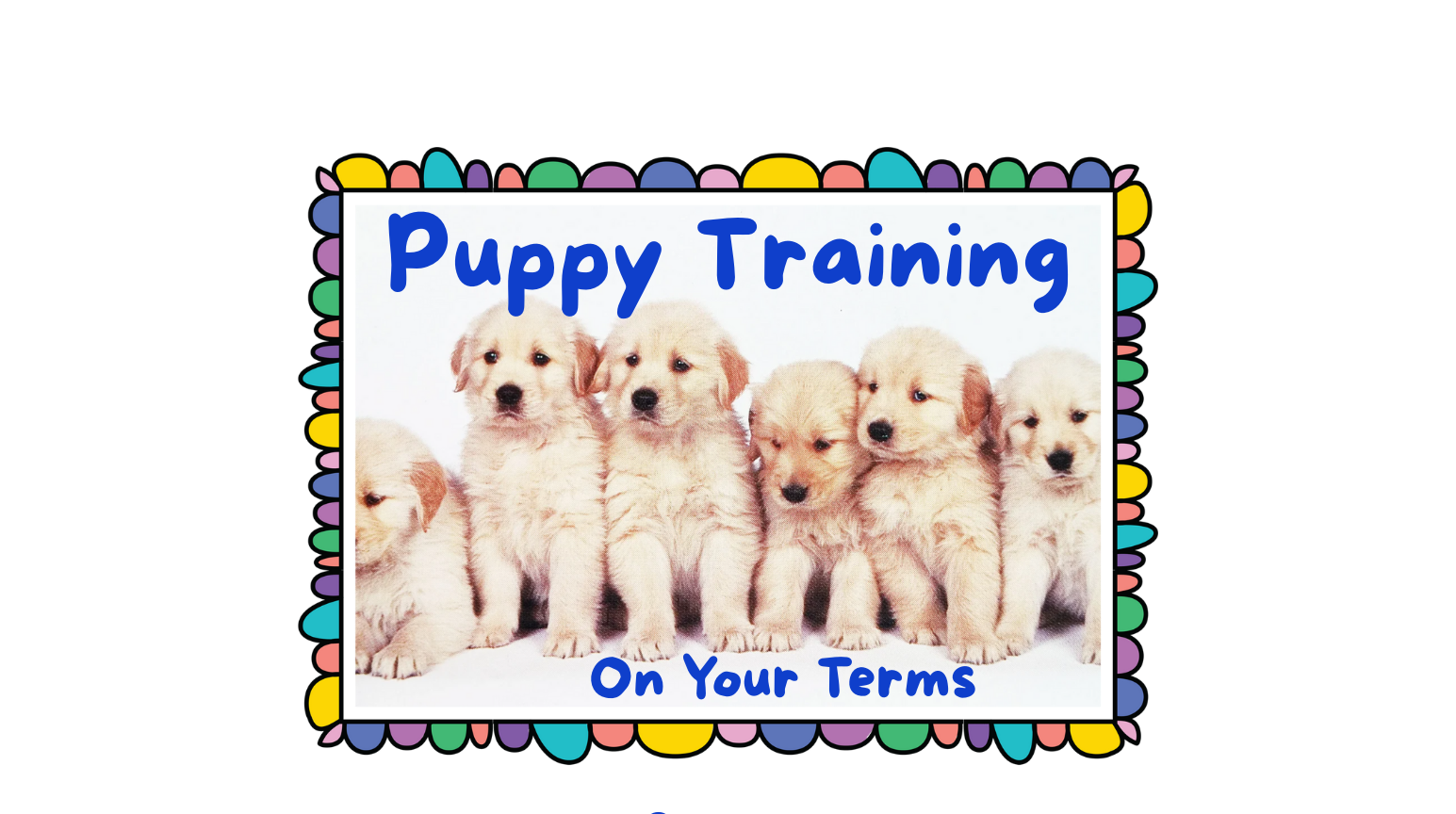 Colorful flyer with six adorable golden retriever puppies sitting in a row on a white background, promoting puppy training. The text says 'Puppy Training' at the top and 'On Your Terms' at the bottom in blue letters.
