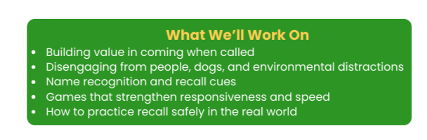 Green background slide with the title 'What We'll Work On' and bullet points about building value, disengaging from distractions, name recognition, responsive games, and safe recall practice.