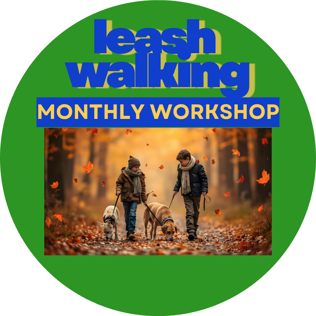 Leash Walking Workshop