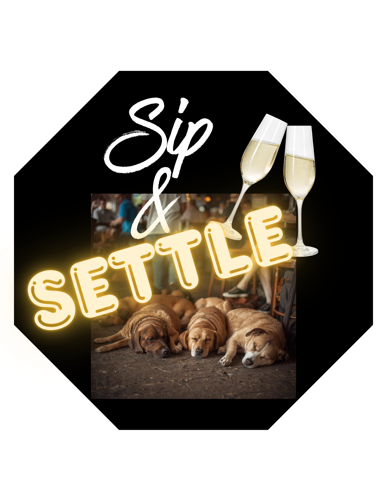 Neon sign reading 'Sip & Sizzle' with two glasses of champagne and three sleeping dogs on the ground.