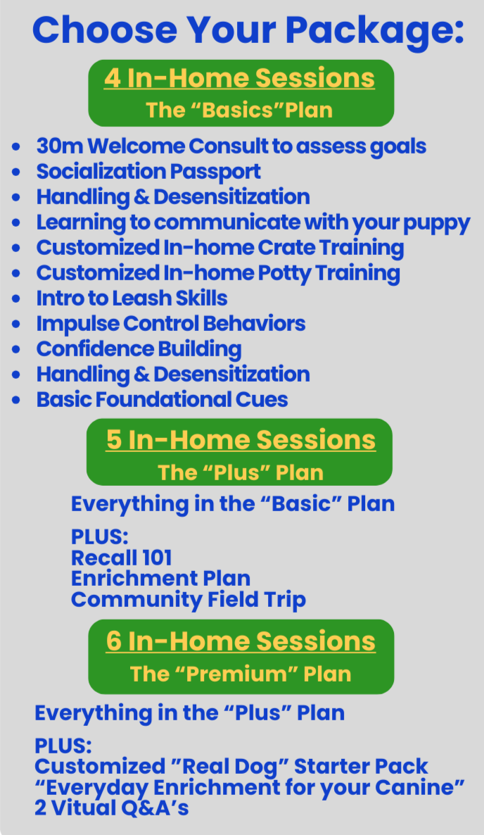A promotional graphic listing three dog training packages called 'The Basics', 'The Plus', and 'The Premium'. Each package includes various training sessions and additional features, with the packages distinguished by different background colors and headings.