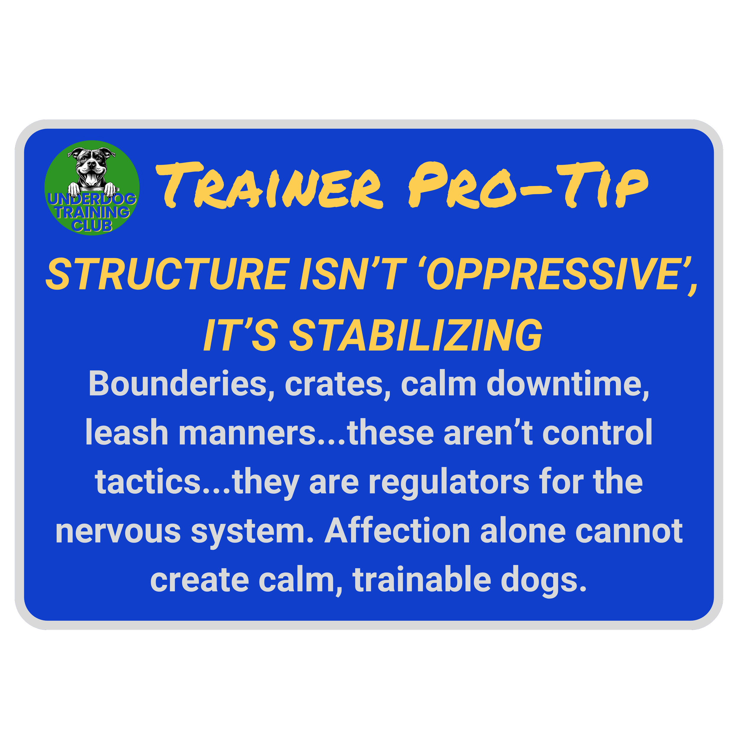Trainer tip card from Underdog Training Club stating 'Structure isn't 'oppressive,' it's stabilizing' with advice on boundaries, crates, and calm down-time.