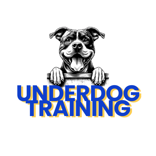 Underdog Training Club Gift Cards!