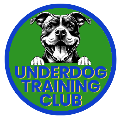 UNDERDOG TRAINING CLUB