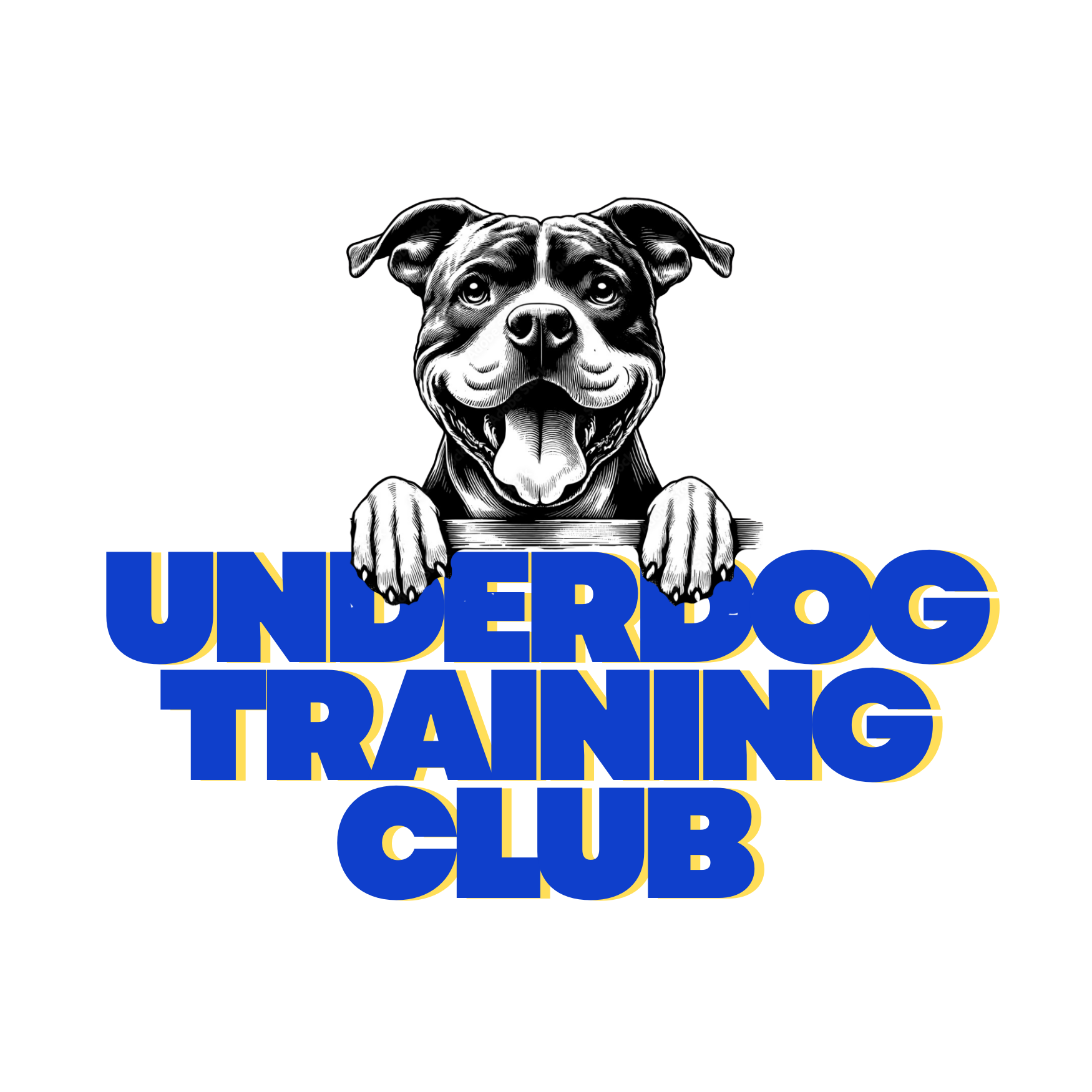 An illustration featuring a happy dog with a black and white face, peeking over a sign that reads 'Underdog Training Club' in bold blue and yellow text.