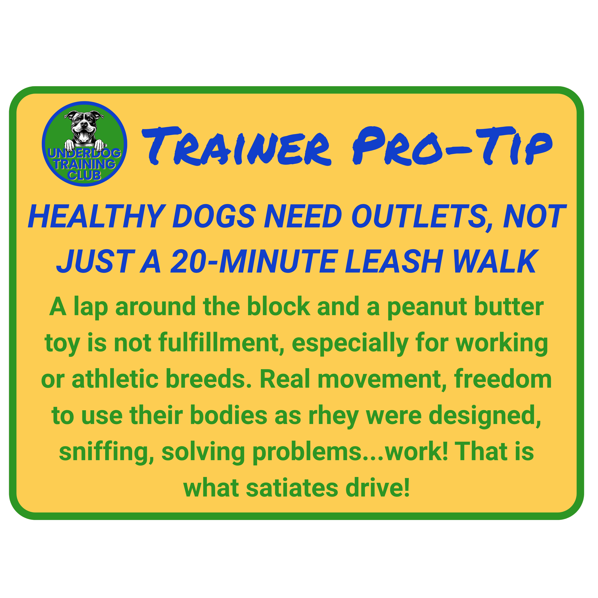 A colorful sign from UnderDog Training Club offering tips on dog training, emphasizing that healthy dogs need outlets, not just leash walks, and promoting real movement and freedom for dogs.