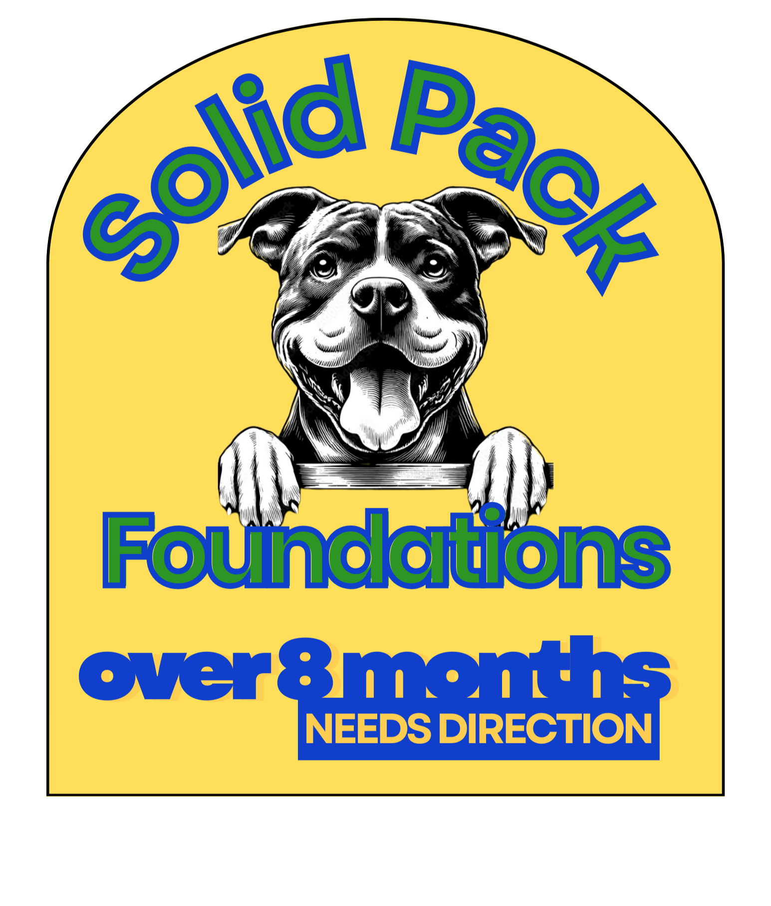 Logo for Solid Pack Foundations featuring a smiling dog with black and white fur peeking over a ledge, with yellow background and text promoting foundation over 8 months, with a note indicating need for direction.