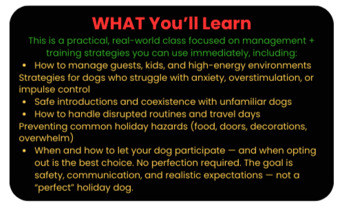A presentation slide with a black background and colorful text. The title is in red and reads 'WHAT You'll Learn.' The content outlines practical strategies for management and training of dogs, including handling guests, kids, and high-energy environments, and preventing holiday hazards. Key points mention safe routines, handling routines during travel, and encouraging dogs to participate in holiday activities safely.