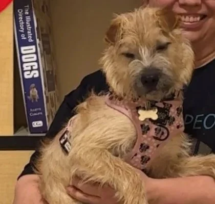 Beginner 5.19.25.jpg.jpg