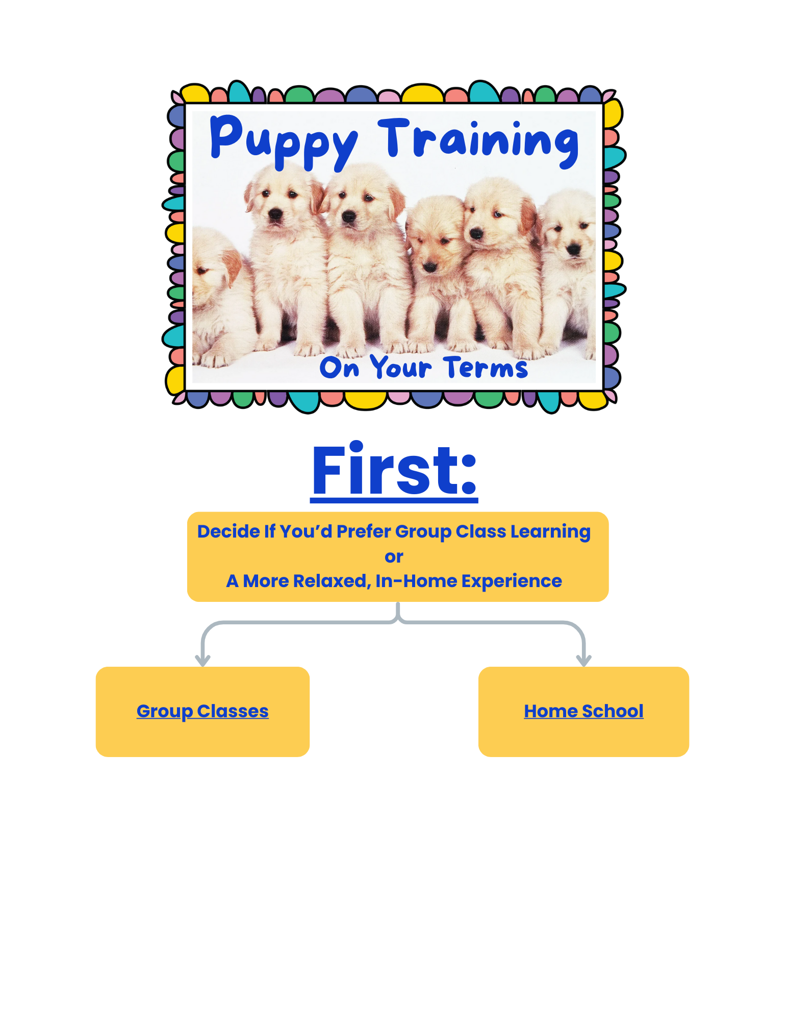 Flyer for puppy training classes featuring a group of six golden retriever puppies, with options for group classes or home schooling.