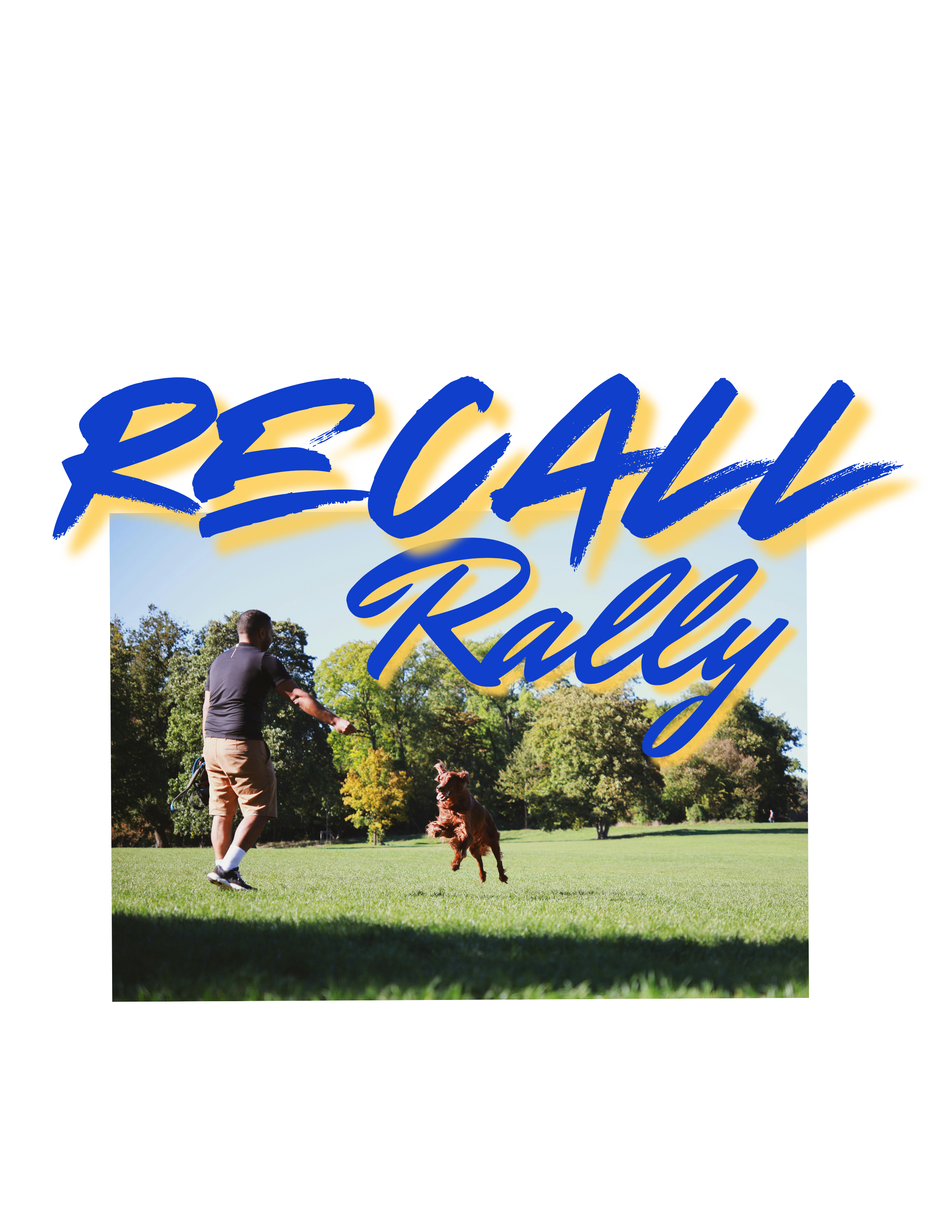 Recall Rally Workshop