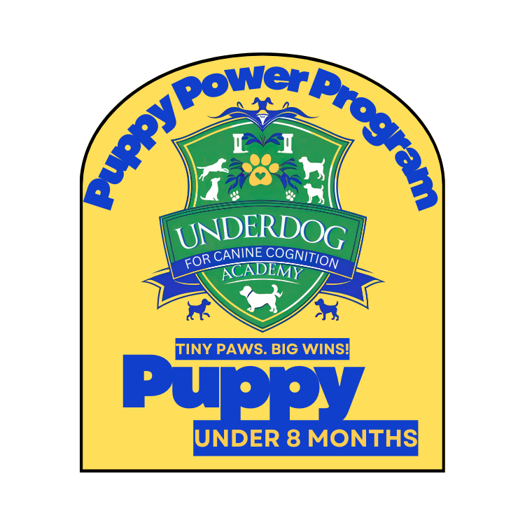 A yellow badge featuring a shield with a dog, paw prints, and decorative elements, promoting the UnderDog Canine Cognition Academy, and stating 'Tiny Paws. Big Wins! Puppy Under 8 Months'.