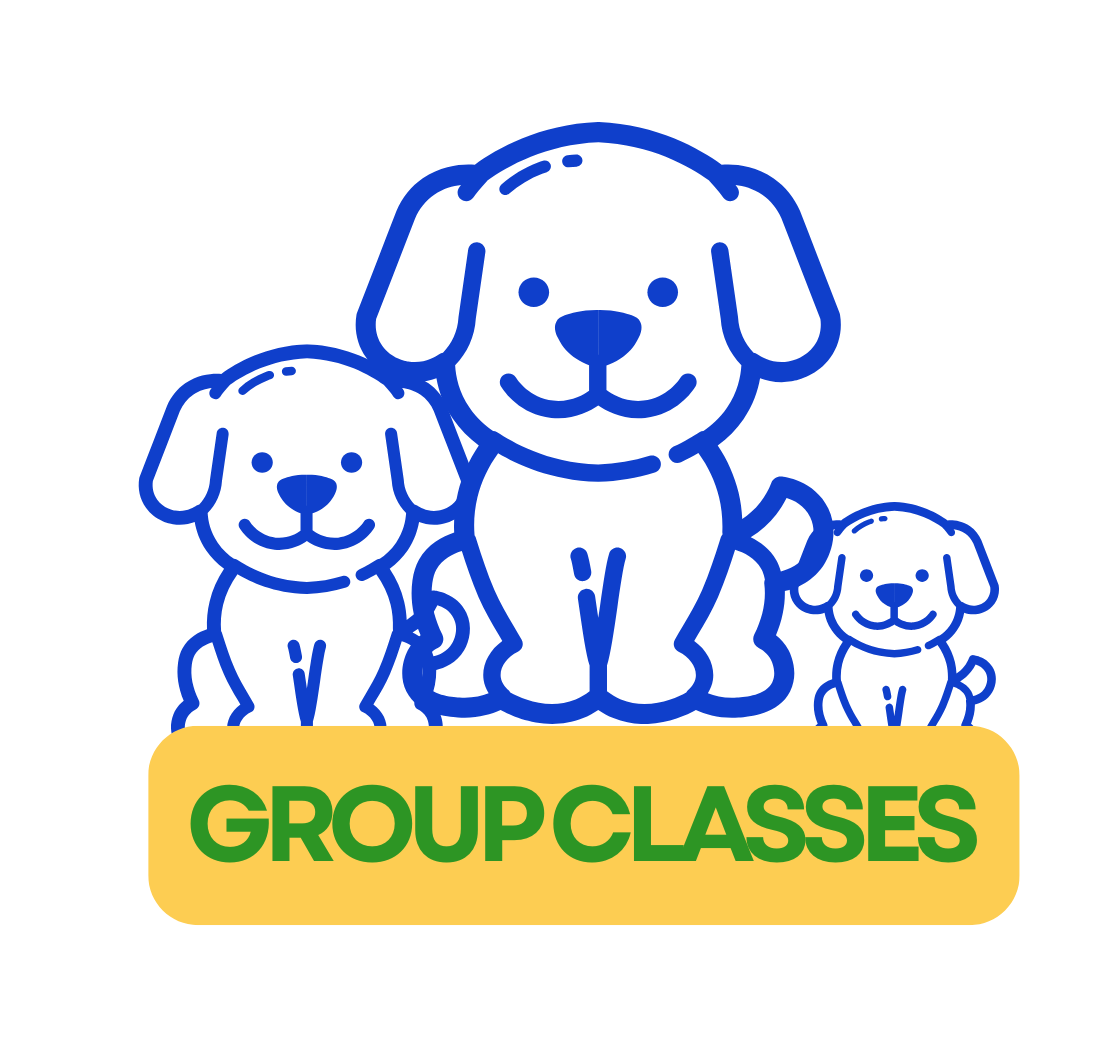 Illustration of three adorable cartoon puppies with floppy ears, sitting behind a yellow banner with green text that reads 'Group Classes'.