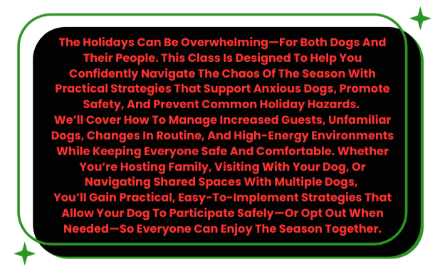 A green rectangular outline with rounded corners, containing a block of red text with instructions for dog owners on managing holiday chaos for dogs. The background is black, and there are white star-shaped decorative elements on the outlines.