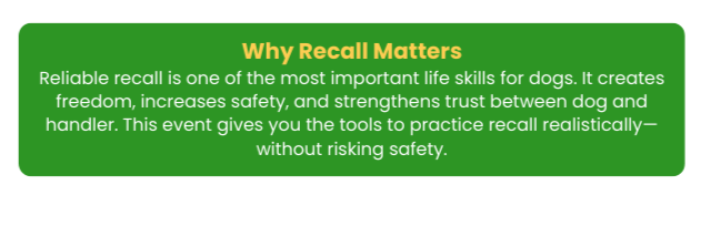 Close-up of a green informational card titled "Why Recall Matters" with yellow and white text about the importance of dog recalls for safety.