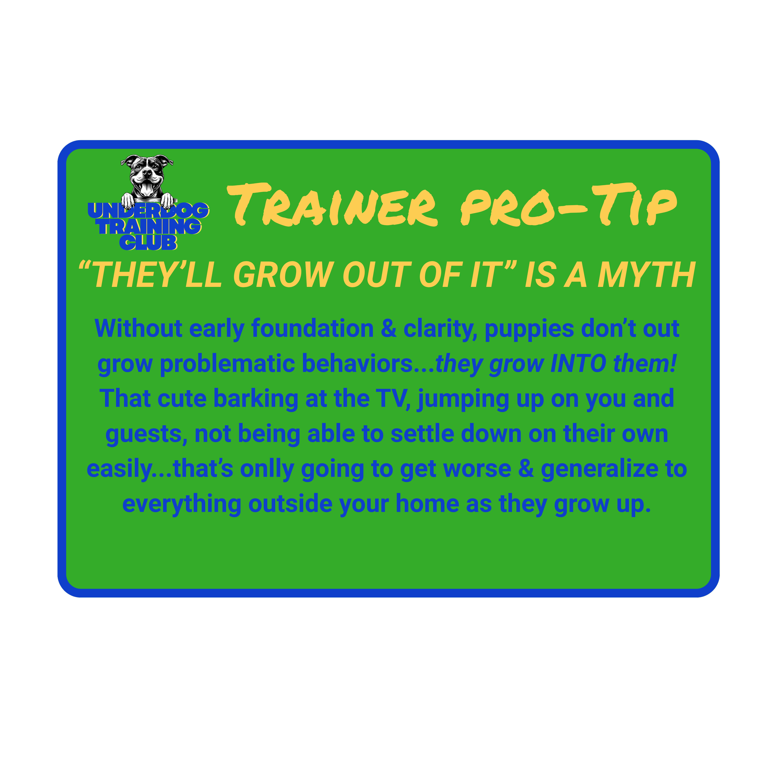 A  trainer tip card featuring a pro-tip that 'They'll grow out of it' is a myth. It emphasizes the importance of early foundation and clarity in puppy training  highlighting that puppies grow into issues without proper early guidance.